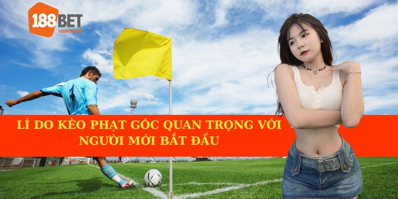 Vì sao kèo phạt góc lại là lĩnh vực cần thiết cho những ai mới tham gia?
